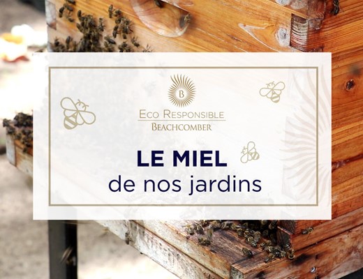 Journée Internationale des Abeilles - Beachcomber présente Le Miel de nos Jardins